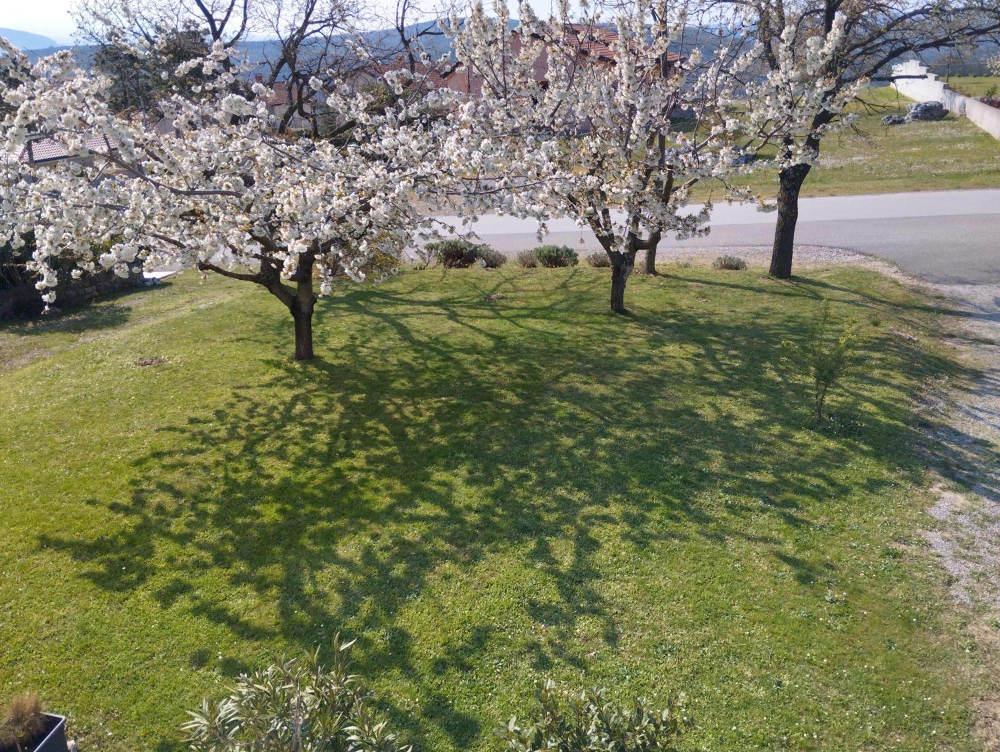 Daal Roč Exterior foto