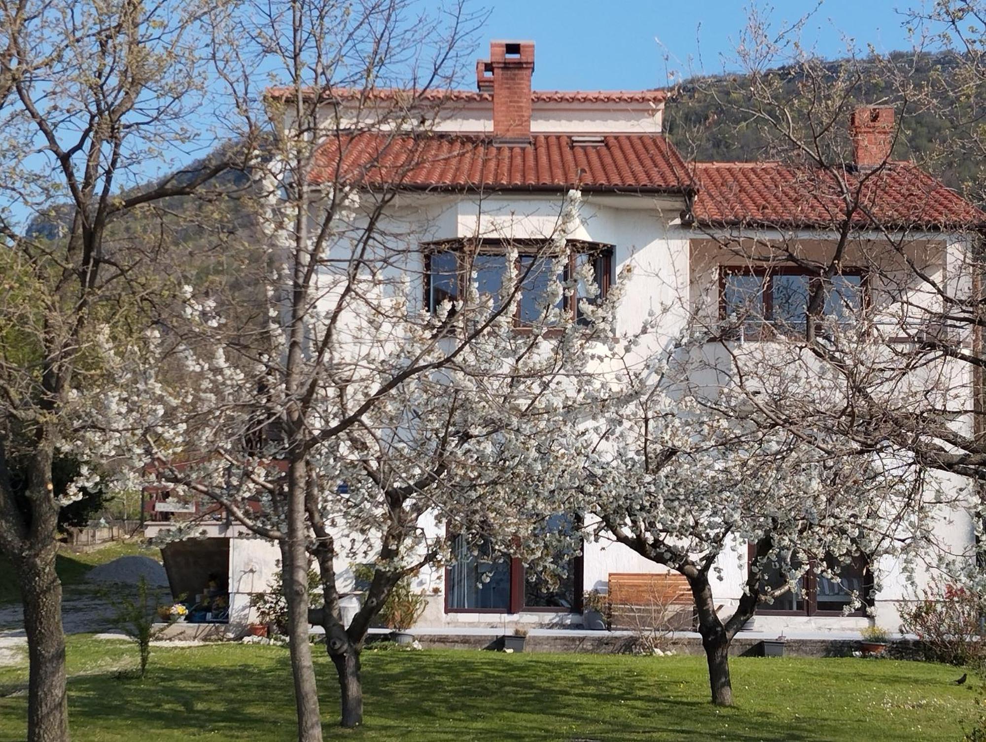 Daal Roč Exterior foto